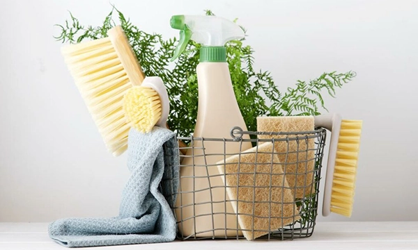 Embracing Sustainability: Green Home Maintenance