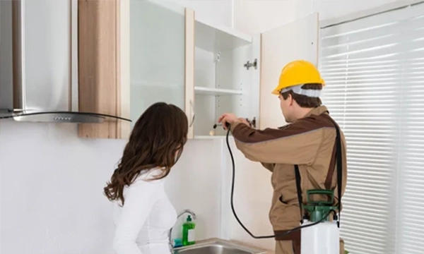 6 Effective Home Pest Control Solutions