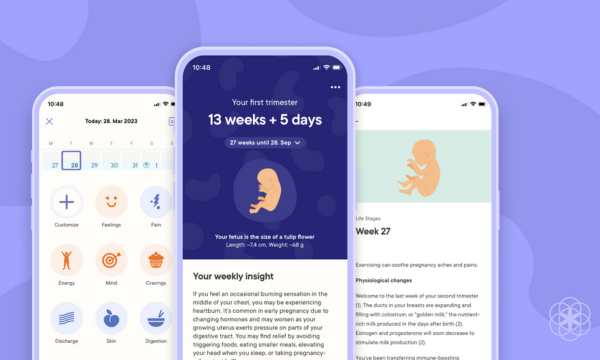 Pregnancy-Mode-in-the-Clue-App-(Source-Google)