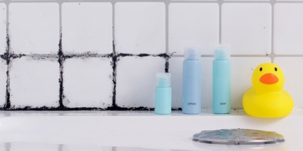 Tips for Getting Rid of Mold